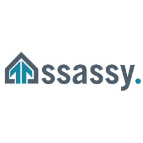 Ssassy Property logo