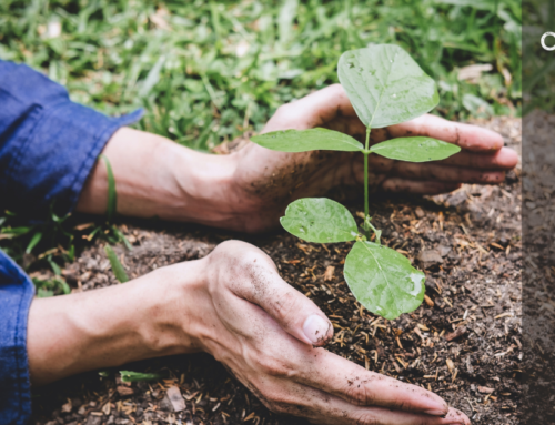 How green behaviour is changing, and why it matters
